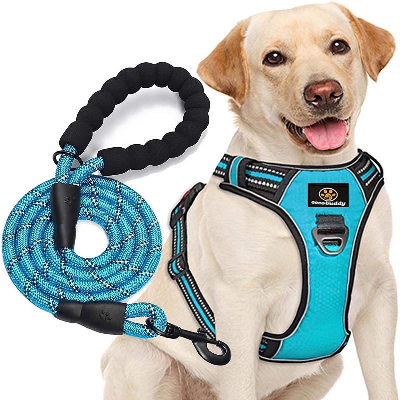Colete de cão personalizado reflexivonylon grande fivela reversível chicote de cachorro com trela
